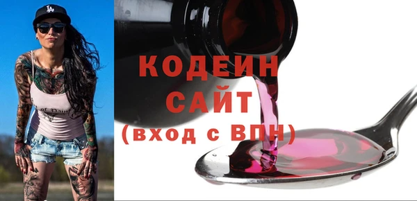 шишки Осташков