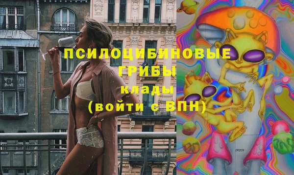 дмт Алзамай