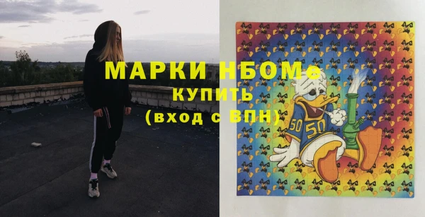 шишки Осташков