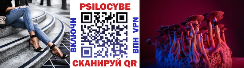 Псилоцибиновые грибы Cubensis  Кяхта 